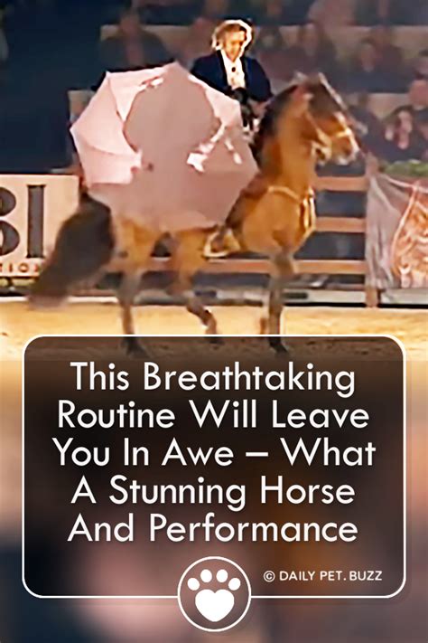 This Breathtaking Routine Will Leave You In Awe – What A Stunning ...