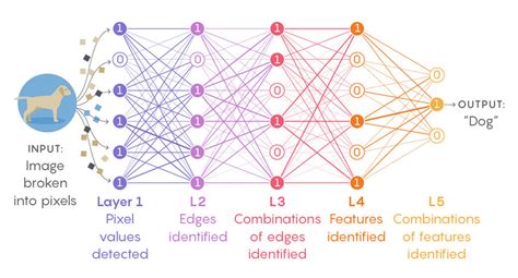 Training A Neural Network Start Here Lavanya Ai