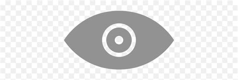 Eye Icon Grey Eye Icon Pngeye Icon Png Free Transparent Png Images