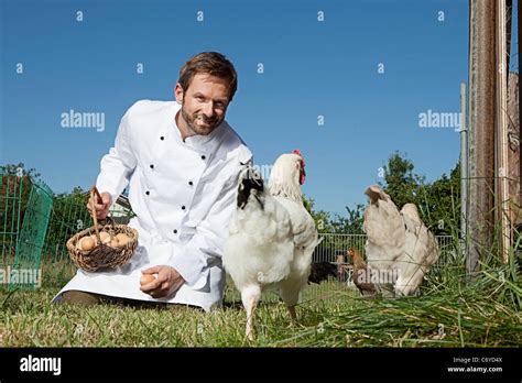 Chef Feeding Chickens Outdoors Stock Photo Alamy