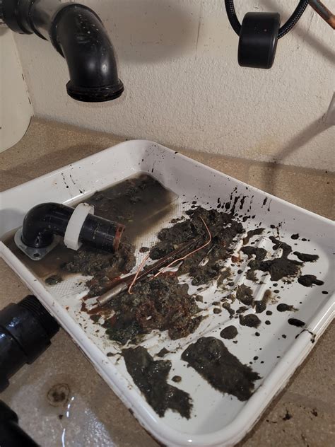 Little Jobs | San Diego CA