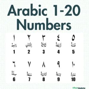 Understanding Letter Noon in Arabic ن N in Arabic