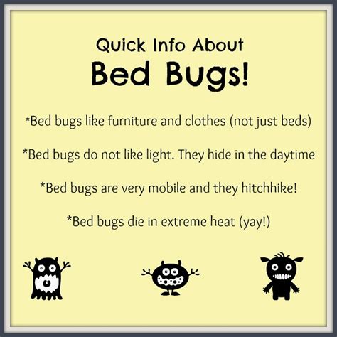 10 Tips for Preventing BED BUGS! | Making Life Blissful