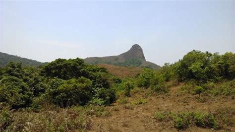 ettina bhuja peak shishila gudda mudigere aktuelle  lohnt