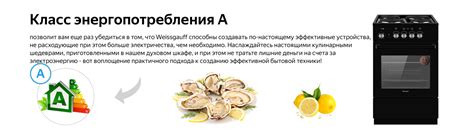 Электрическая плита Weissgauff WES E2V00 BS купить с доставкой в ...