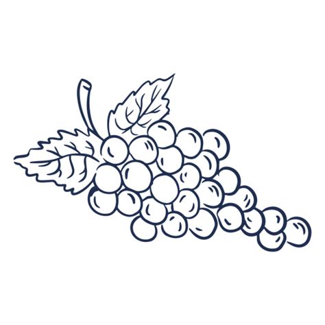 Diseño Png Y Svg De Dibujo De Un Racimo De Uvas Para Camisetas