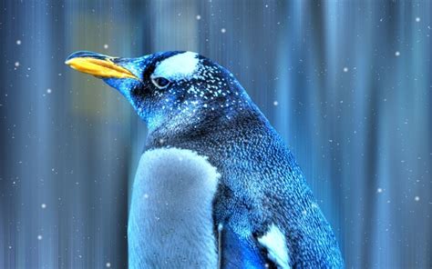 Emperor Penguin Windows 10 Theme - themepack.me