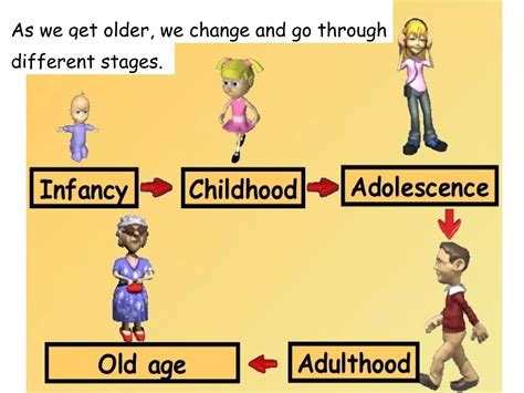 The Human Life Cycle Ppt