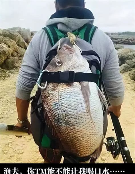 十年禁漁，又在收繳魚竿，釣魚人釣個魚怎麼這麼難 每日頭條