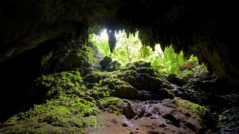 Camuy River Cave Park, Camuy holiday homes: holiday houses & more | Bookabach