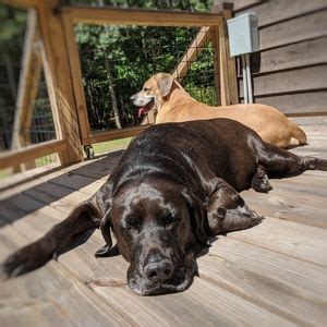 J Crew Swim Nwt J Crew Colorblock Zip Halter Bikini Top Poshmark