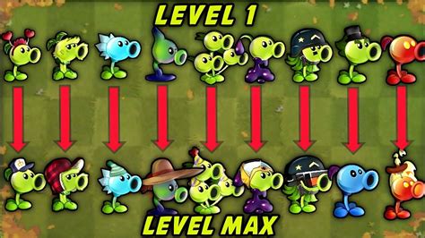 Pvz Discovery All Peashooter Level Vs Max Level Pvz Who