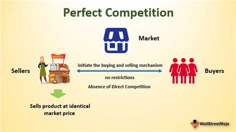 Perfect Competition (Definition) | Characteristics with Economics Examples