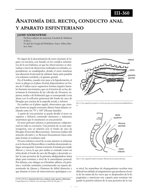 Solution Anatomia Del Recto Conducto Anal Y Aparato Esfinteriano Studypool