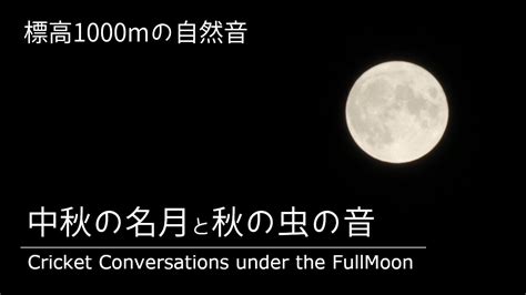 【自然の音・睡眠】中秋の名月（十五夜）と秋の虫の声。睡眠・リラックスしたい時にどうぞ！ Youtube