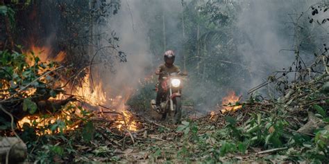 Mostra Ecofalante De Cinema Chega A Piracicaba Em Agosto