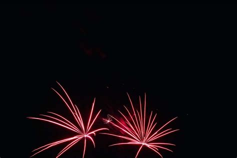 Pink Fireworks Image Free Photo