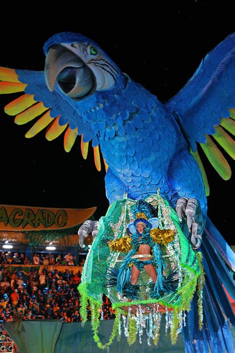 17 amazing things to do in brazil traveltipster travel ideas itinerary