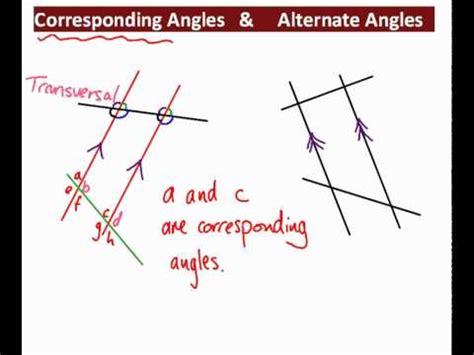 Are Alternate Interior Angles Supplementary Or Complementary - Home Alqu