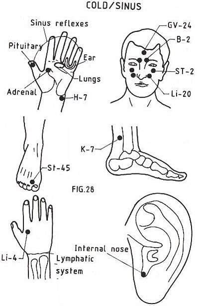 Acupressure Points Acupressure Acupuncture