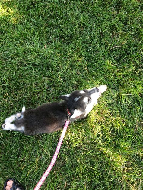 Commuters are angry about the new pay toll bill process 3