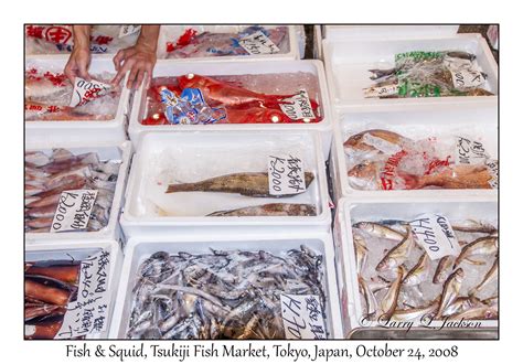 Tsukiji Fish Market Slideshow Underwater Land Photography Ljax