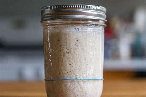 how to create sourdough starter