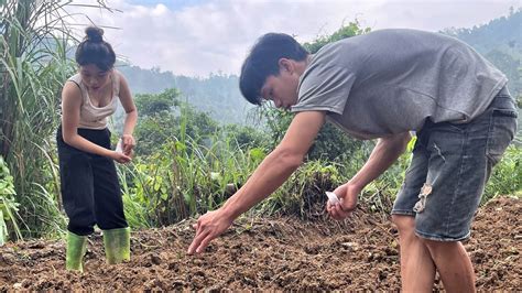 Growing Vegetables Cooking The Simple Life Of A Couple In The Forest