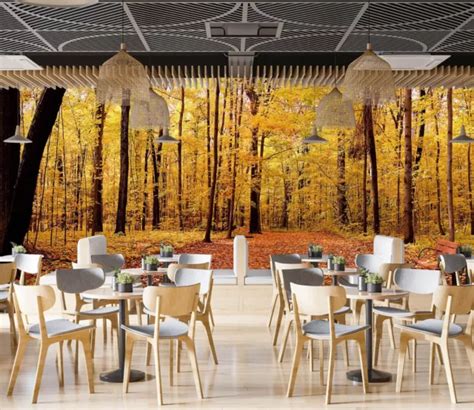 autumn forest  wallpaper mural  adhesive removable sticker