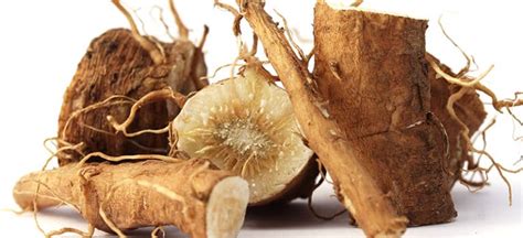 Chicory Root Health Benefits, Nutrition Facts and Uses - Dr. Axe