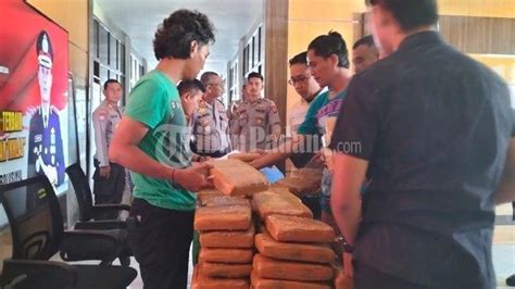 Breaking News Bawa Paket Ganja Dua Pemuda Ditangkap Polisi Di