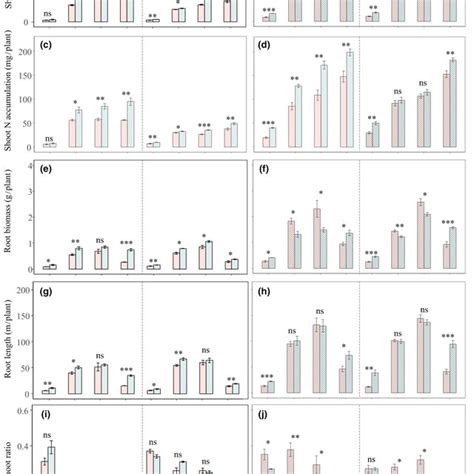 Effects Of Different Biochar Application And N Fertilizer Rates On Rice