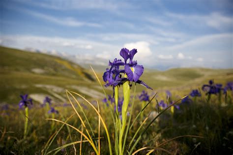 Cuándo empieza la primavera 2023 fecha y hora del equinoccio Cómo