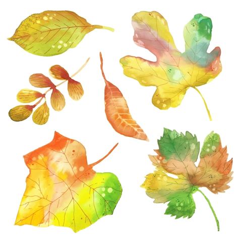 Colección de hojas de otoño estilo acuarela Vector Gratis