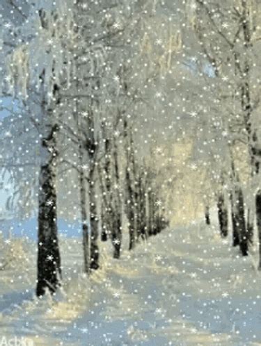 Snow Storm Snow Storm Pretty Discover Share GIFs Winter