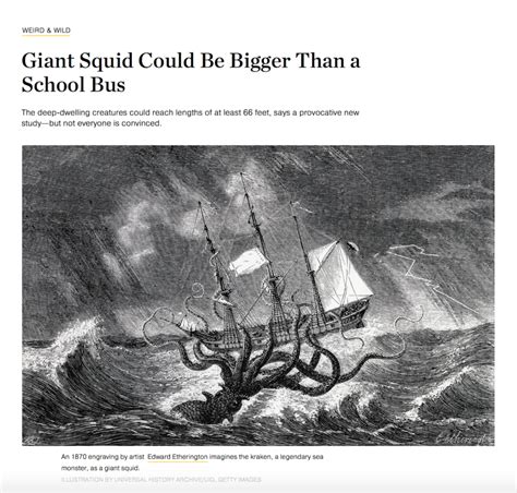 Giant Squid National Geo - Sense About Science USA