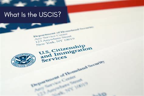 What Are USCIS Certified Document Translation Requirements