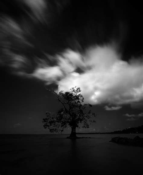 Premium Photo Silhouette Tree By Sea Against Sky