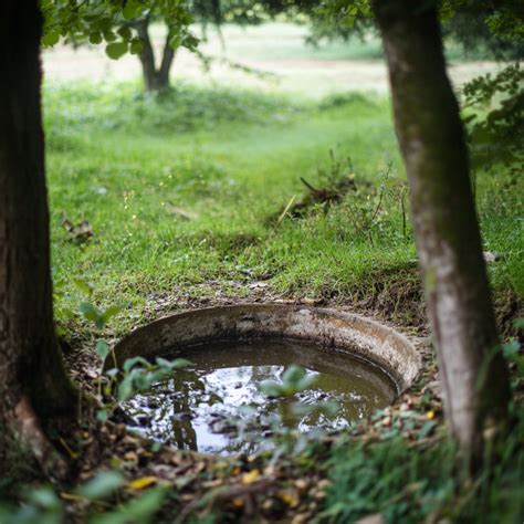 How To Choose Septic Tank Bacteria For Effective Treatment Septic