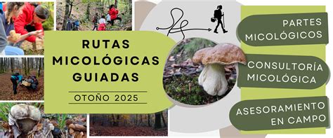 Parque Micológico Ultzama