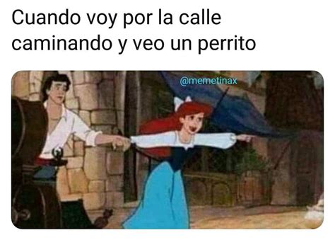 Cuando Voy Por La Calle Caminando Y Veo Un Perrito Memes