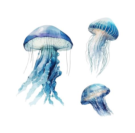 Premium Vector Jellyfish Clipart Isolated Vector Illustration