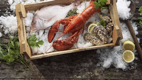 Fresh Fish Delivered To Your Home From The Online Fishmonger AO