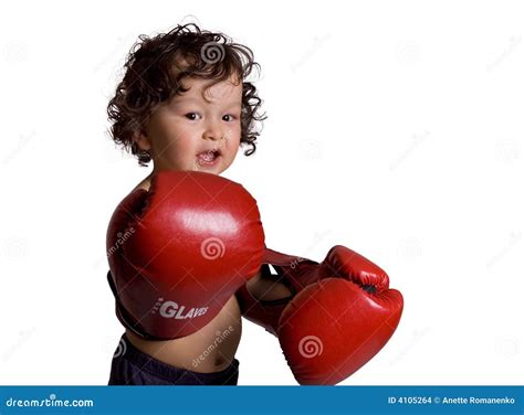 The young boxer. stock photo. Image of competition, cute - 4105264
