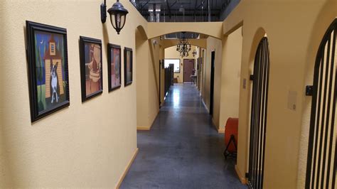 Hallway Cat Hotel Las Vegas Hotels Hotel La