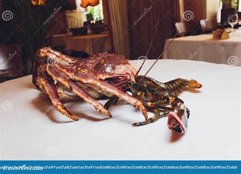 King Crab And Lobster Live Opposite Each Other On A White Background