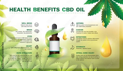 Health Benefits Cbd Oilmedical Uses For Cbd Oil Icon Infographic Poster Vector Illustration