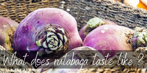 What Do Rutabagas Taste Like Here S What To Know Foodiosity