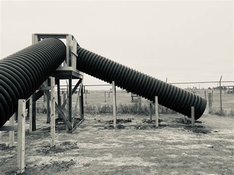 Old MacDonalds Petting and Family Fun Farm | Lubbock TX