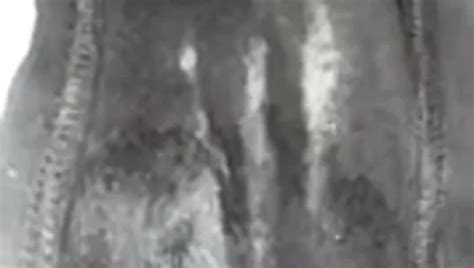 Sexy Boxer Negro Transparente Shein Nude Pics Xhamster